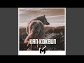 Kan Koksun (feat. Ozan Ünsal)