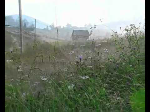 Vyhoda — Video