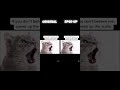 Here's the sped up version! #spedup #fyp #roadto100subs #scary #cat #meow #cutecat #death #creepy