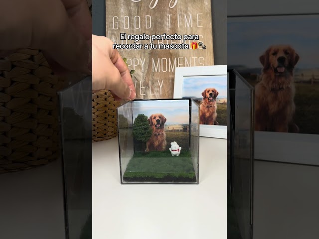 Vídeo relacionado con Regalos Conmemorativos Personalizados para Perros, Mascota con Holograma 3D con Pantalla Acrílica Ultraclara, Aplicación Gratuita Interactiva de Bricolaje