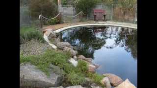 Pool to Pond Conversion Video #2