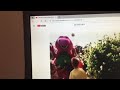 Barney Friends PBS