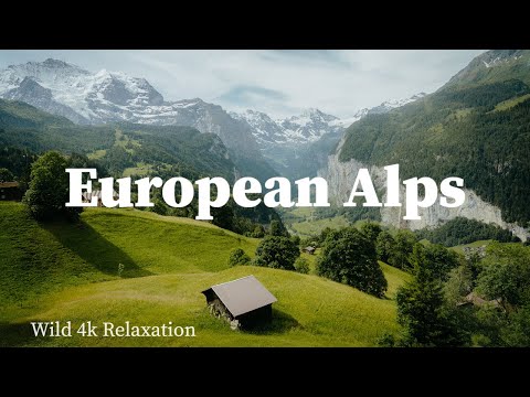 European Alps 4k- Wild Scenic Relaxation Film With Calming Music