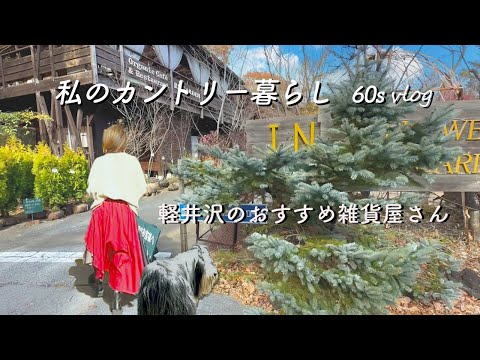 [Country life]/Recommended antique goods store | 60s | Slow life | Handmade sweets for dogs