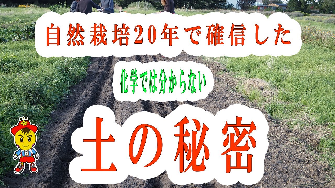 【自然栽培】野菜が枯れたときの向き合い方と土の秘密|連作や疑問への回答