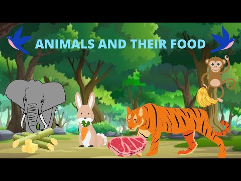 Learn Animals and Their Food | Presc…: English ESL video lessons