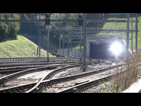 IR 36 in Effingen / Re 460 mit EW und RABDe500 ICN