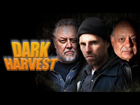 Dark Harvest (2016) [Crime] [Thriller] 🌿 Intense Marijuana Crime Thriller 🌿 : Full Movie