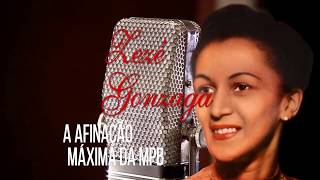 ZEZE GONZAGA A AFINAÇÃO MAXIMA DA MPB