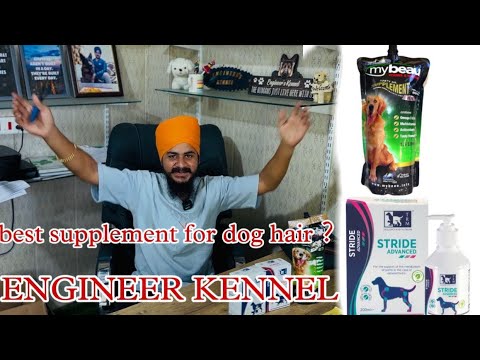 Full information how engineers kennel Gsd well maintained 