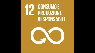 Pillole di sostenibilità / Agenda 2030: Garantire modelli sostenibili di produzione e di consumo