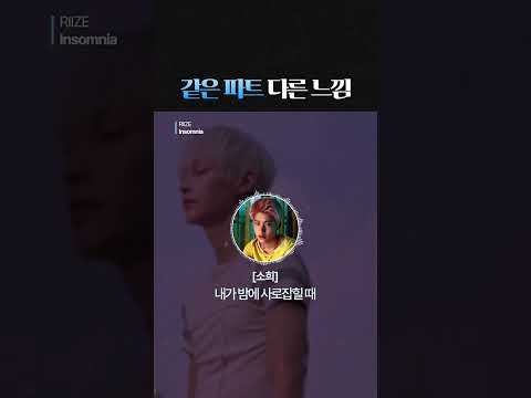 같은 파트 다른 느낌 #Insomnia