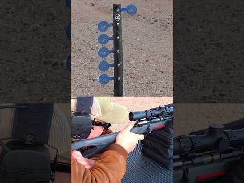 Winchester Wildcat 22LR (One Year Later Review)