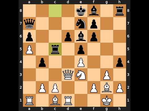 Alexei Shirov-Evgeny Bareev, Tilburg 1993, Result: 1-0