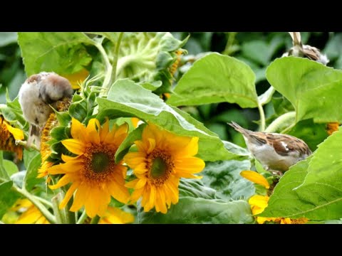 Most Beautifull Places on planet Earth