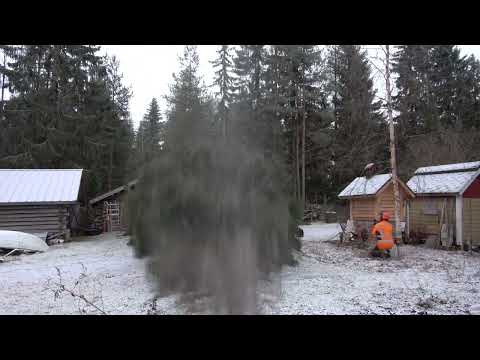 Metsolan Metsäkoulu 236 - Millon talja, millon tunkki?