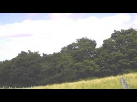 Hotel Bucuresti Ieftin - Cazat.ro