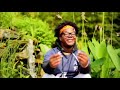Cayo Banks Haikyuu Official Video Dir By VsnKeem