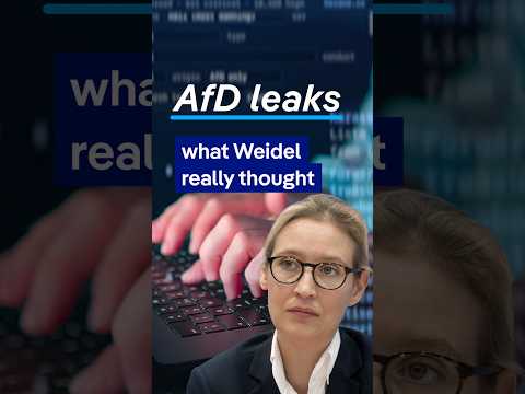 3 things we've learned from the AfD leaks | DW News