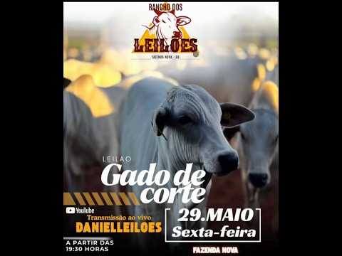 Fazenda Nova - GO   29/05/2026