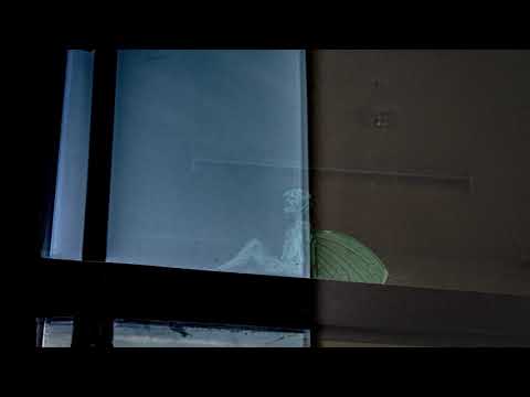 짙은(Zitten) 노래 모음 【﻿playlist】