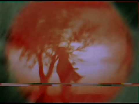 dreamweapon - The Kiss (Official Video)