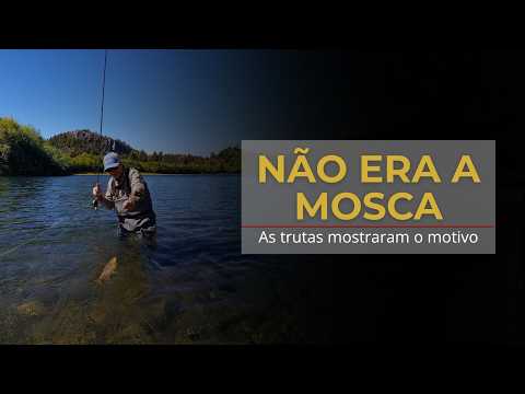Nem Toda Pescaria Acontece na Superfície | Fly Fishing Patagônia -  #lazariflyfishing  #flyfishing