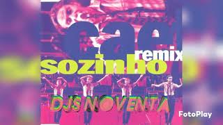 Caetano Veloso - Sozinho (Hitmakers Classic Mix) 1999