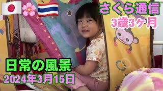 日常の風景🌸さくら通信🌸2024年3月15日🌸日泰ハーフ3歳3ヶ月