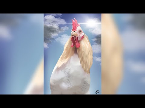 Drawing rooster/Hahn malen/digital/Procreate/iPad