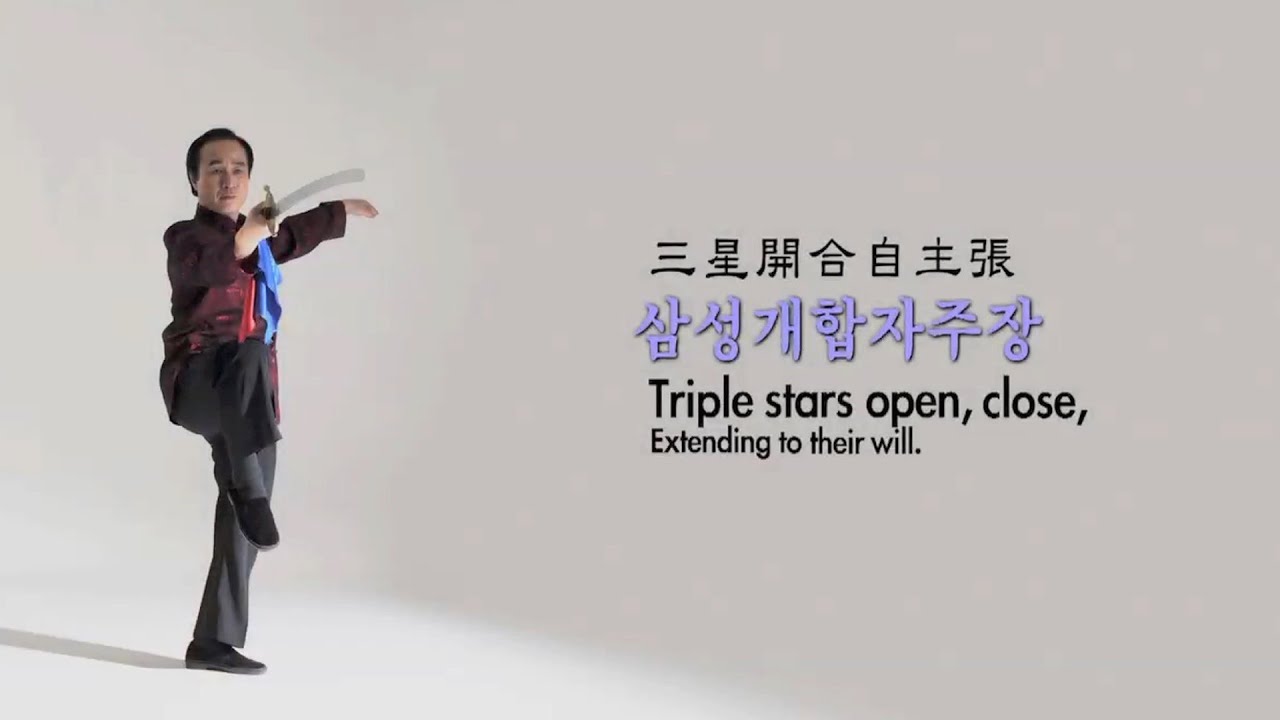 움직이는 명상, 태극권