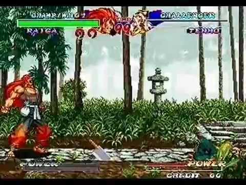 Ninja Master's Wii