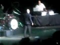 Pitbull Bojangles Go Girl Blanco