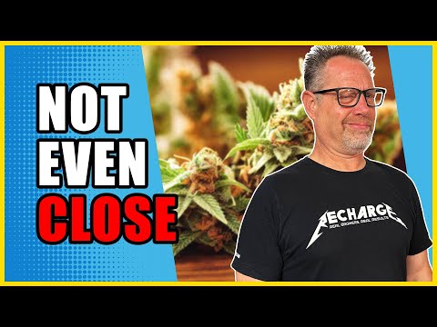 Home Grown Cannabis Will ALWAYS Beat the Dispo—Here's Why