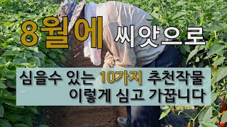 8월에 씨앗으로 심을 수 있는 10가지 추천 작물 이렇게 심고 가꿉니다. #8월에 심는 작물 #8월 텃밭 잘…