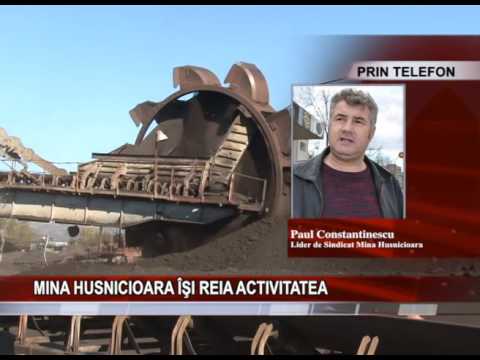 MINA HUSNICIOARA ÎŞI REIA ACTIVITATEA