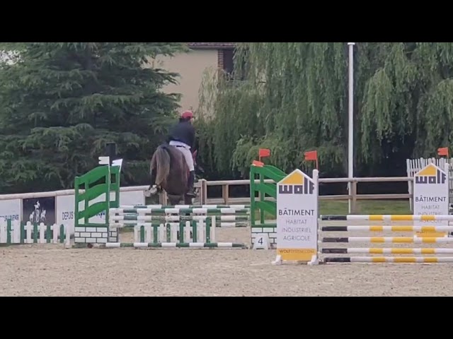 Caballo castrado Zangersheide En venta 2021 Tordo por Aganix du Seigneur