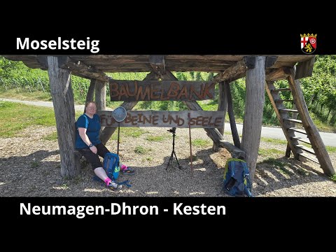 Moselsteig, Etappe 09/24