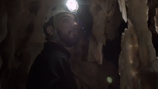 『世界最古の洞窟壁画3D 忘れられた夢の記憶』予告編