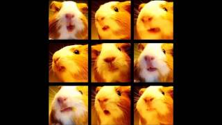 不要说抱歉  (DeeJayYor ReWork)