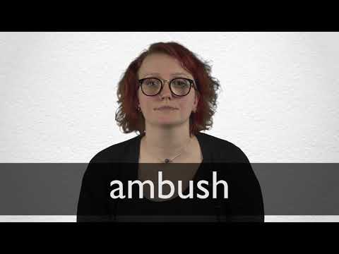 ambushed define ambushed define
