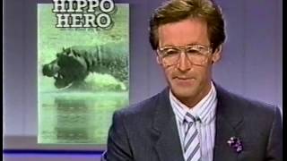 Hippo Hero - ABC News Broadcast 1987/88. Sydney, Australia