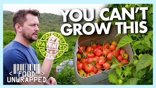 This is How You Patent a Plant | Food Unwrapped