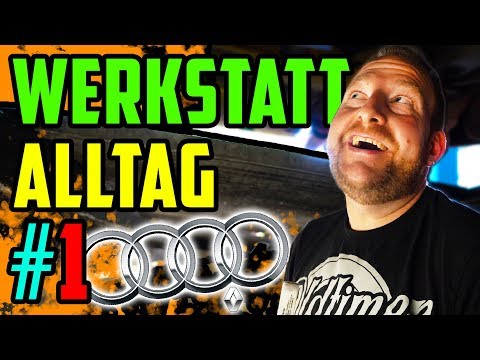 WERKSTATT ALLTAG #1 - Ungewöhnlich viele 5Zylinder! - 2x Audi S2 - Audi S4 - Audi 300!