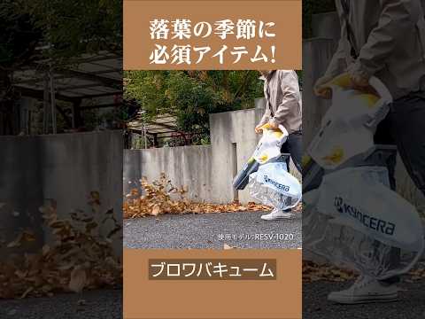 庭掃除に最適な道具は何ですか？リーフシュレッダーバキュームまたはリーフブロワー  庭園