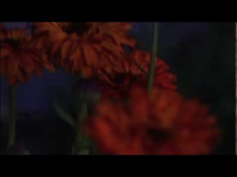 Études N°10 - Déconnexion, a short film by Colin Snapp