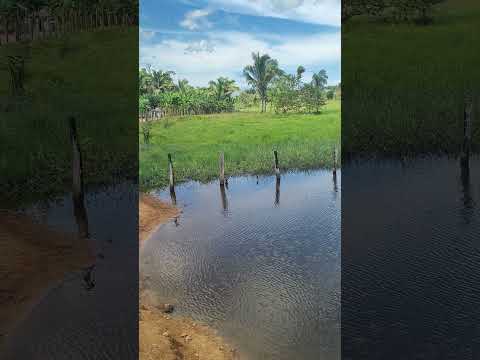 5 de junho de 2026 represa em Buritirana, Maranhão nordeste Brasil