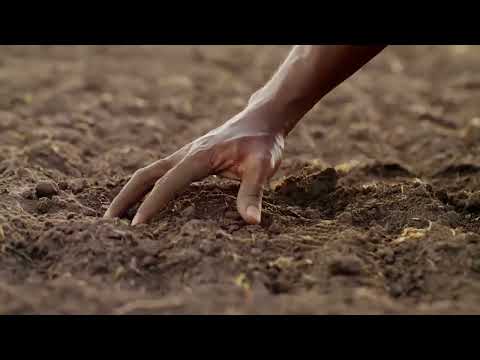 How WellCrop Microbial Soil Enhancers Work to Restore Soil