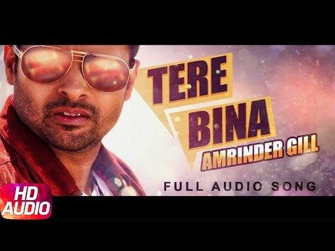 Tere Bina | Amrinder Gill | Full Audio Song | Speed Records