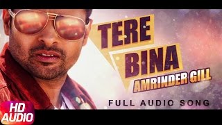 Tere Bina | Amrinder Gill | Full Audio Song | Speed Records
